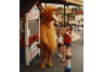 Scranton Public Library – Nay Aug Amusement Park–The Strohl Collection