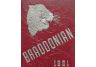 Braddock Carnegie Library Association – Braddock Area Yearbooks