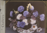 Pennsylvania Horticultural Society – James Lawrence Dillon Lantern Slide Collection